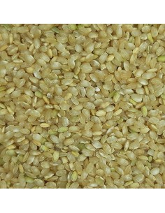 ARROZ INTEGRAL