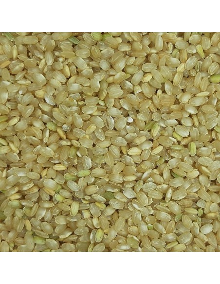 ARROZ INTEGRAL