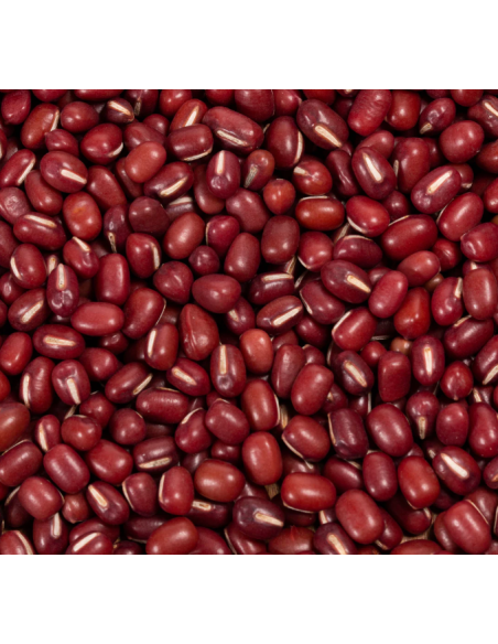 SOJA ROJA O JUDÍA ADZUKI