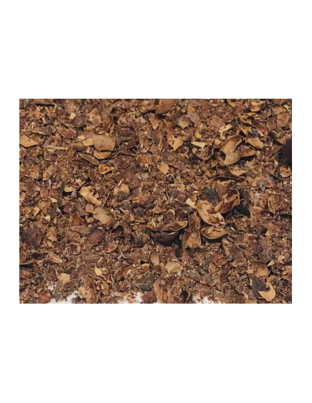 INFUSIÓN DE CACAO