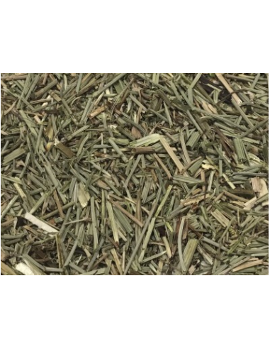 COLA DE CABALLO