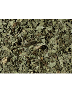 INFUSIÓN POLEO MENTA