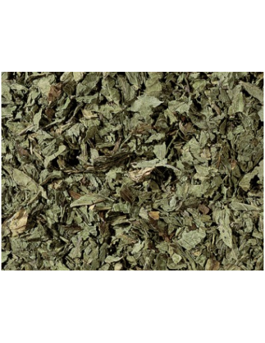 INFUSIÓN POLEO MENTA