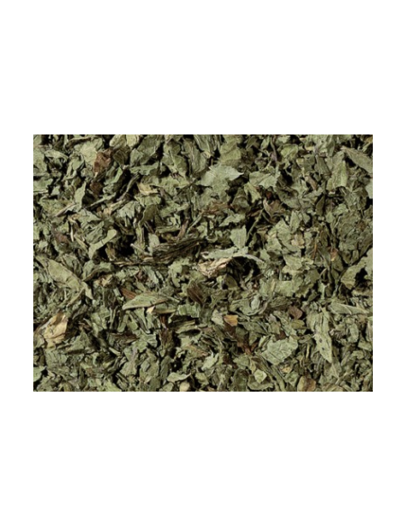INFUSIÓN POLEO MENTA