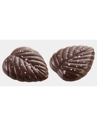 LATA HOJA 70% CACAO SAL 60 GR. AMATLLER