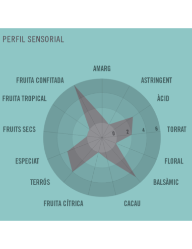 TABLETA NICARAGUA 72% CACAO 70 GR....