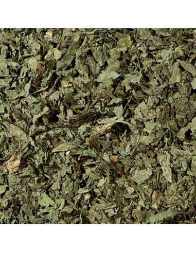 INFUSIÓN POLEO MENTA KG