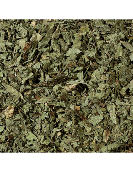INFUSIÓN POLEO MENTA KG