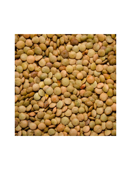 LENTEJA CASTELLANA KG