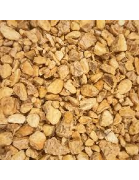 RAÍZ DE JENGIBRE KG