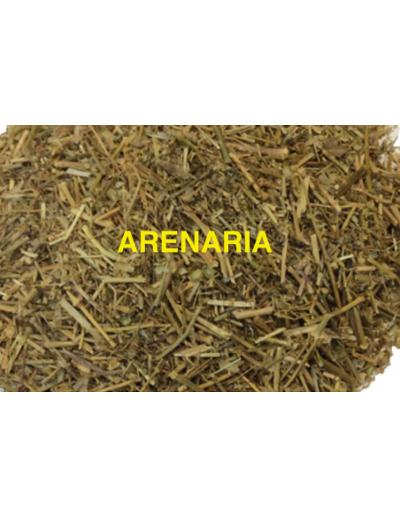 ARENARIA (ROMPEPIEDRAS) KG