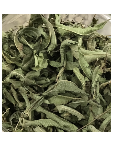 HIERBALUISA HOJA KG