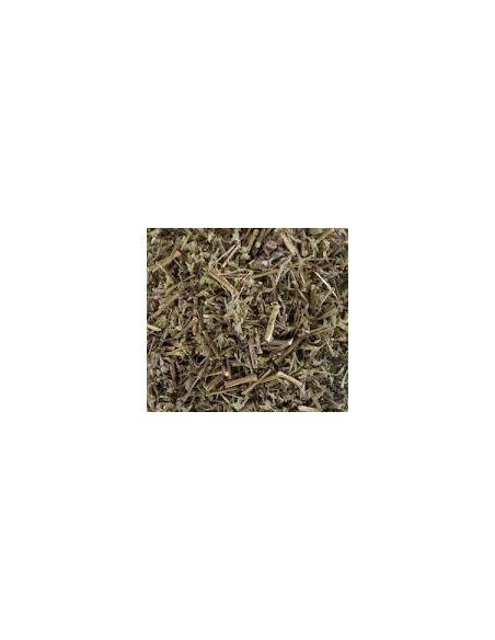 ARTEMISA VULGARIS KG