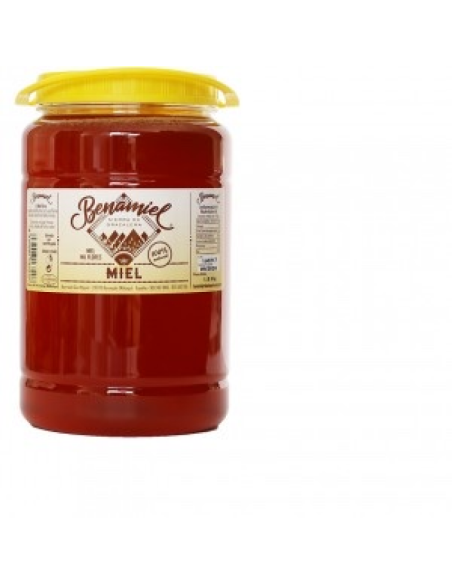 MIEL MIL FLORES 1.8 KG BENAMIEL