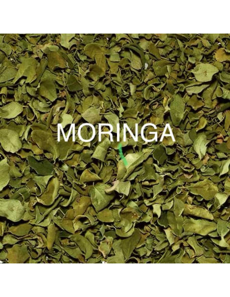 MORINGA KG.