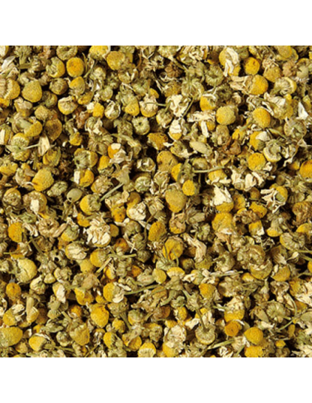 MANZANILLA FLOR KG