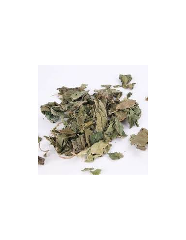 MENTA PIPERITA KG.