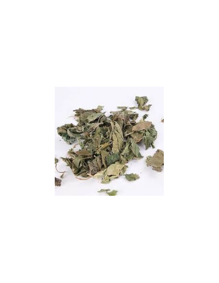 MENTA PIPERITA KG.