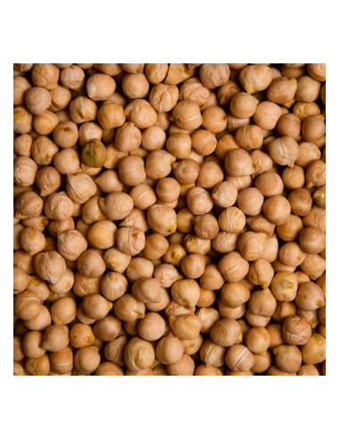 GARBANZO PEDROSILLANO KG