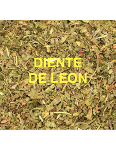 DIENTE DE LEON KG