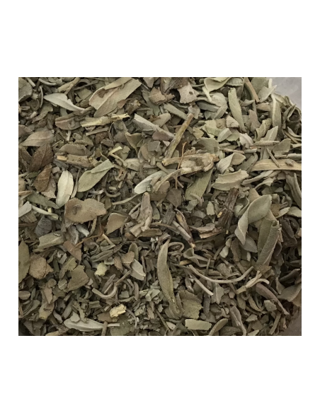 SALVIA GRANELES KG