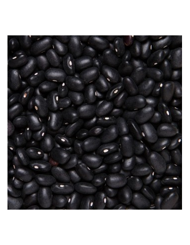 FRIJOL NEGRO KG