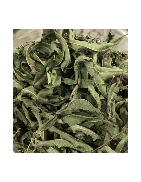 HIERBALUISA HOJA KG