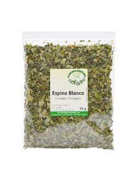 ESPINO BLANCO KG
