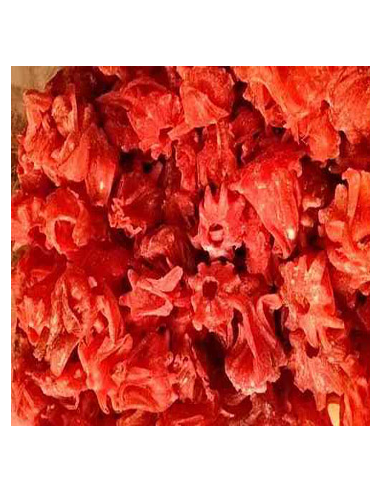 HIBISCUS DESHIDRATADO KG
